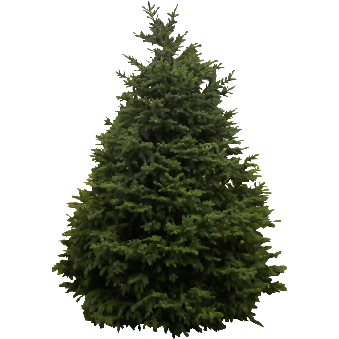 Green Christmas Tree for Festive Celebrations