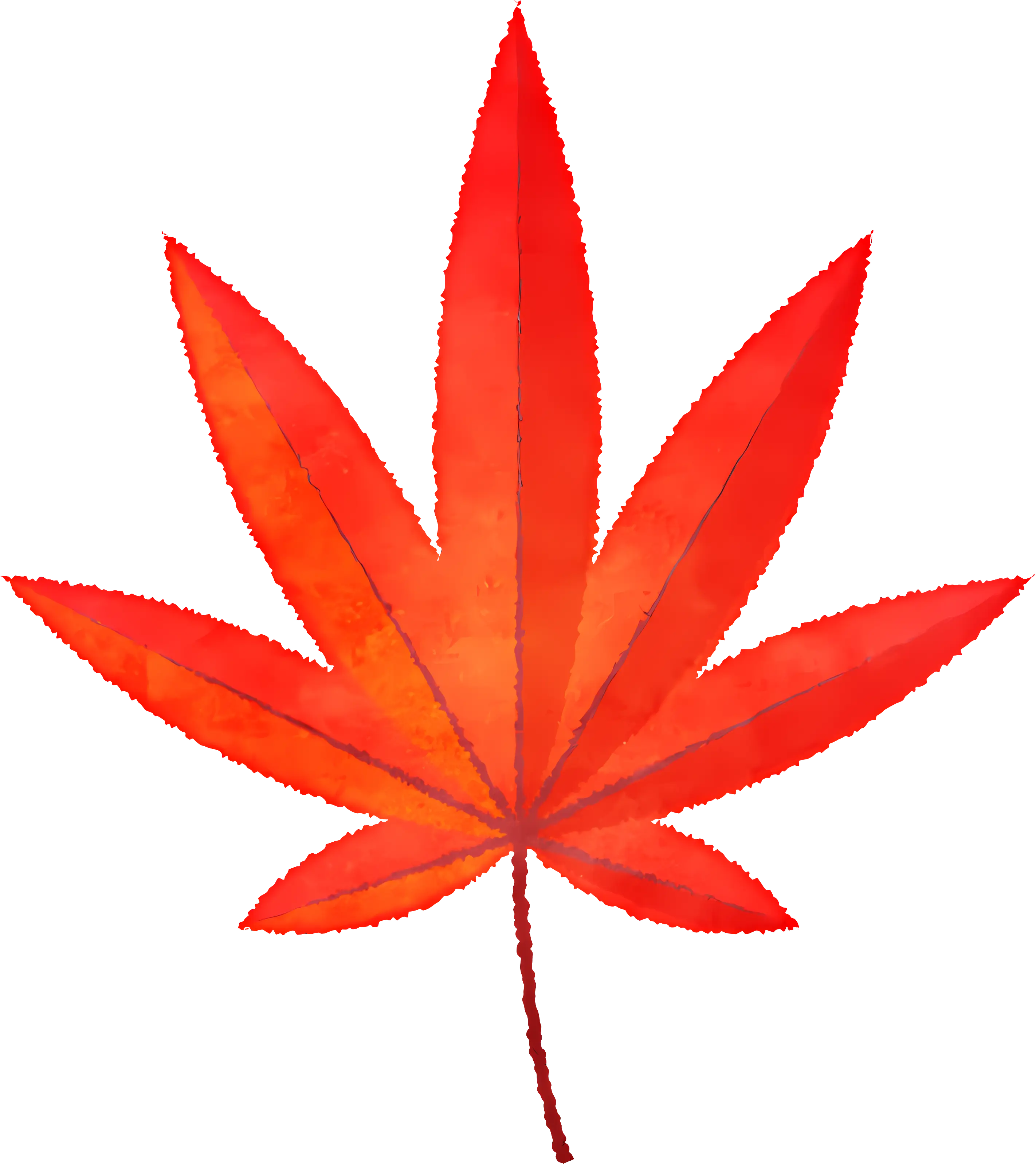 Red Maple Leaf Illustration