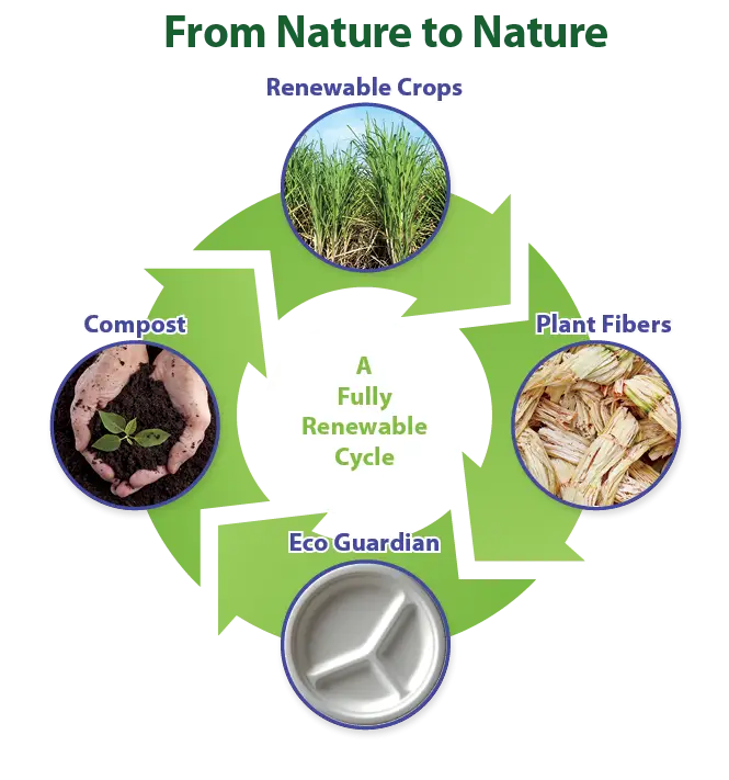 Renewable Cycle Diagram