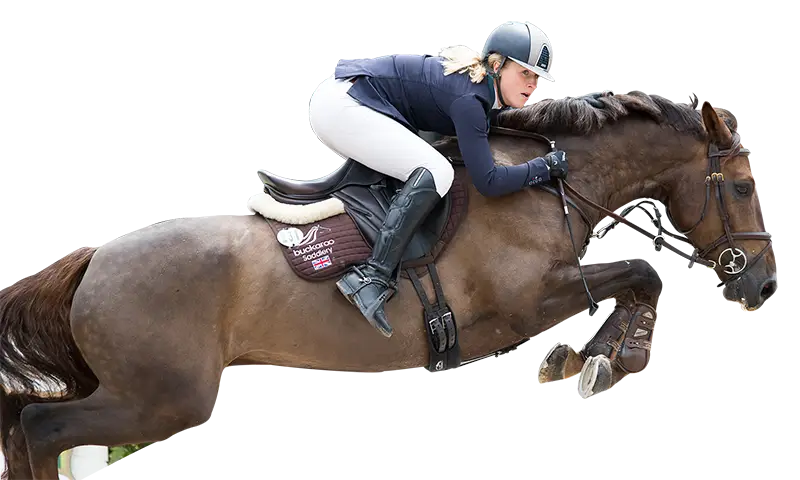 Horse Jumping with Rider
