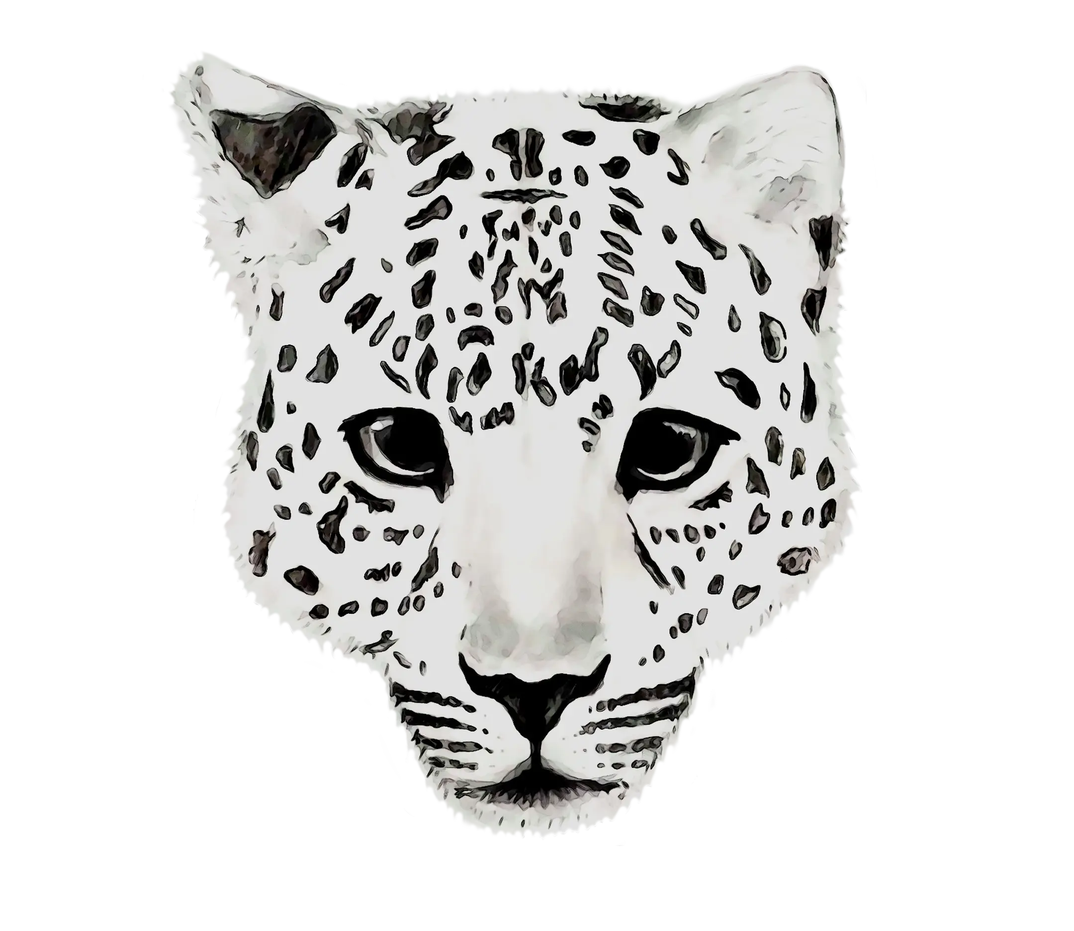 Leopard Face Sketch Illustration
