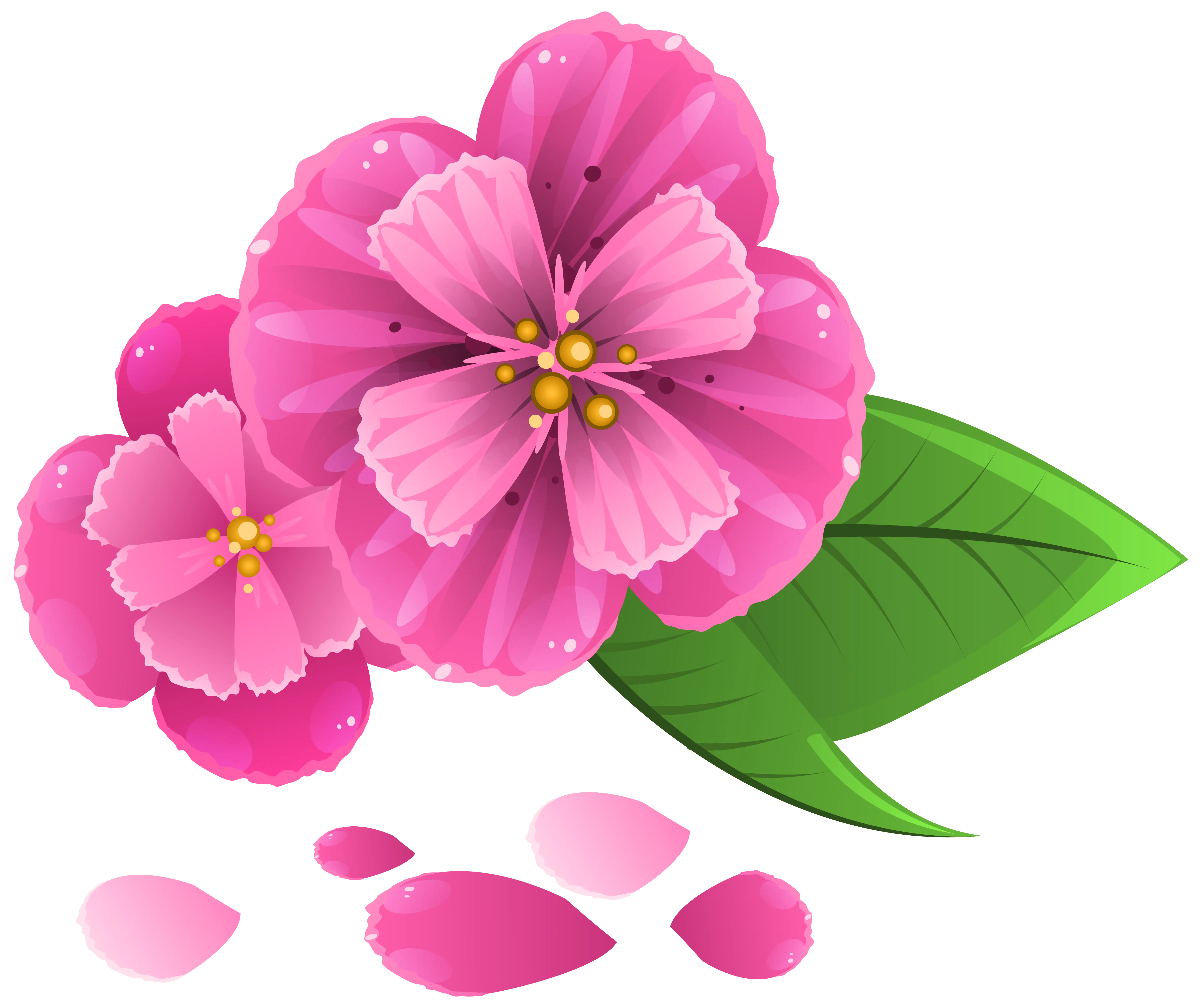 Beautiful Pink Flowers with Leaves