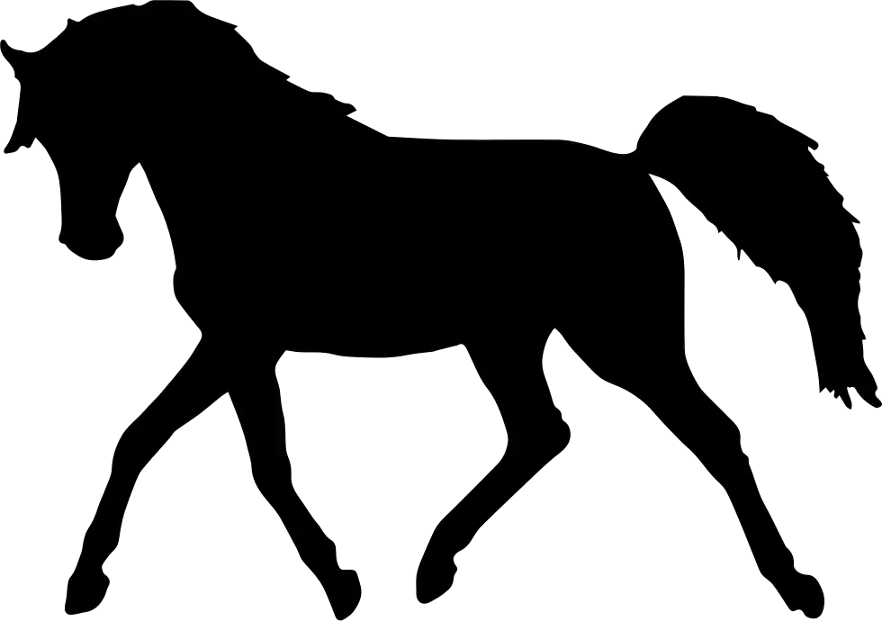 Horse Silhouette in Black
