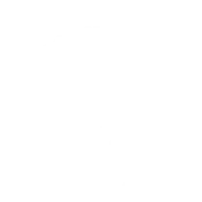 Simple Geographical Map Silhouette