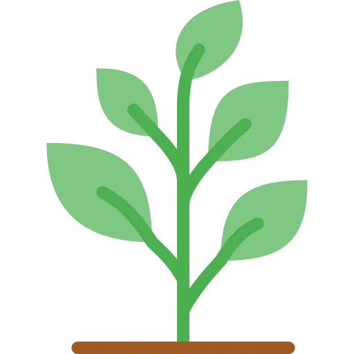 Green Plant Illustration Icon