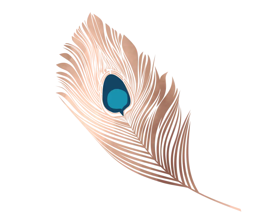Elegant Peacock Feather