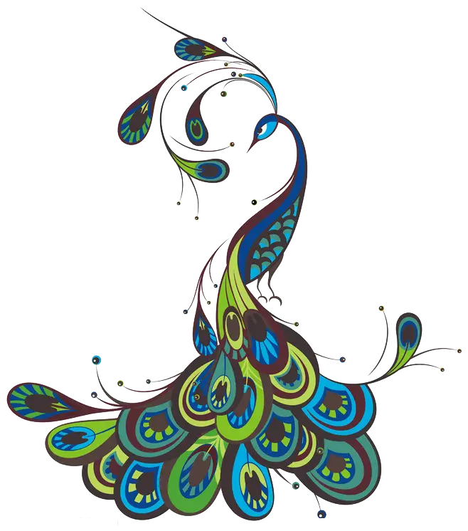 Artistic Peacock Illustration