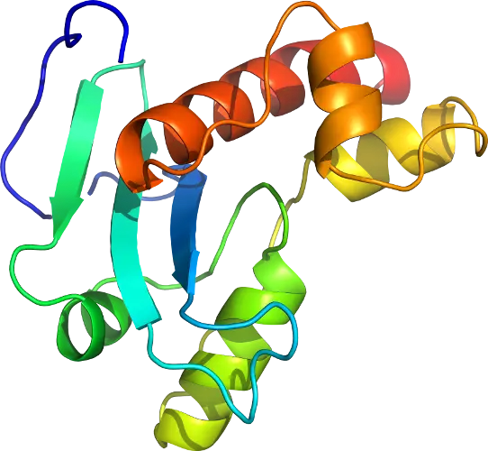 Colorful Protein Structure Visualization