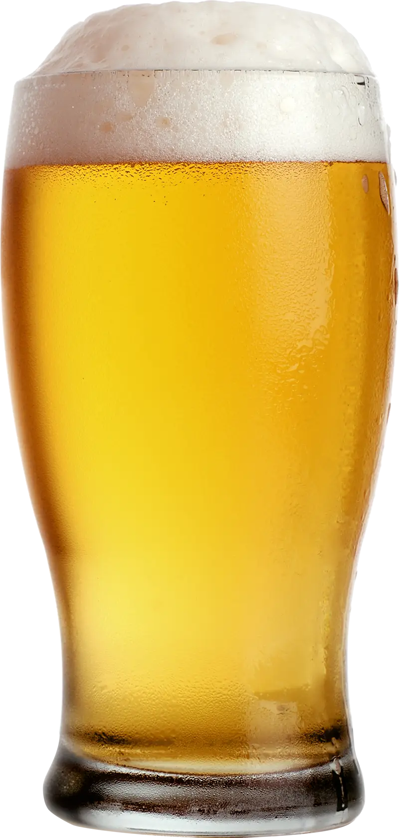 Frothy Golden Beer in a Tall Glass