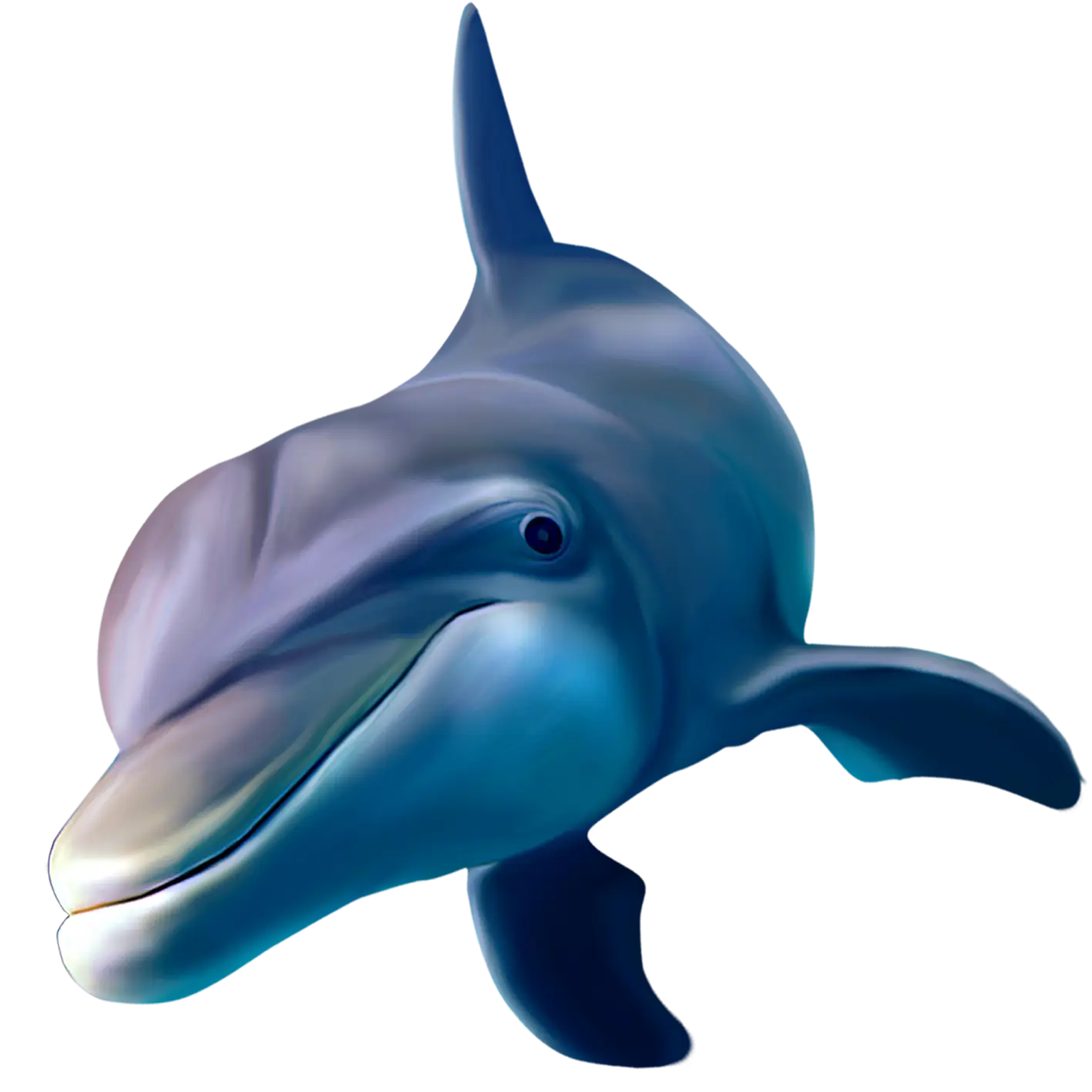 Realistic Dolphin Illustration for Marine Themes