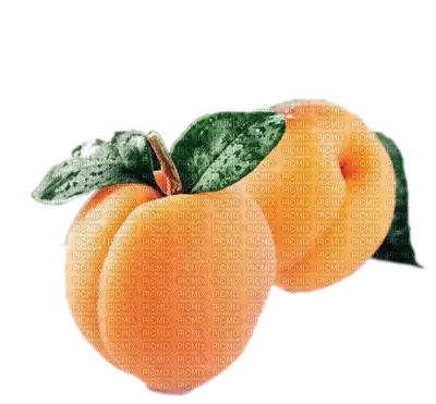 Fresh Orange Peach with Leaves
