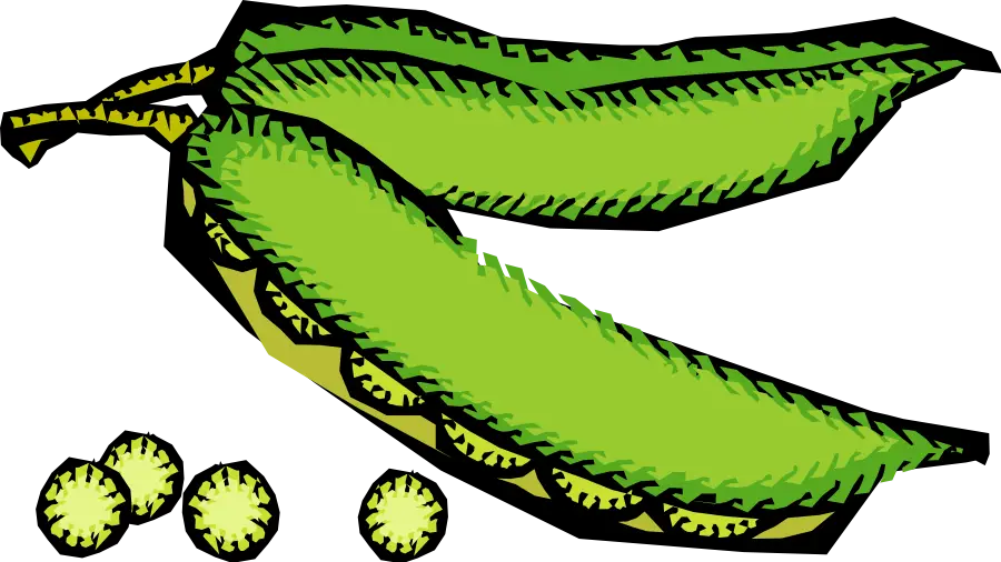 Green Pea Pods with Opened Seeds