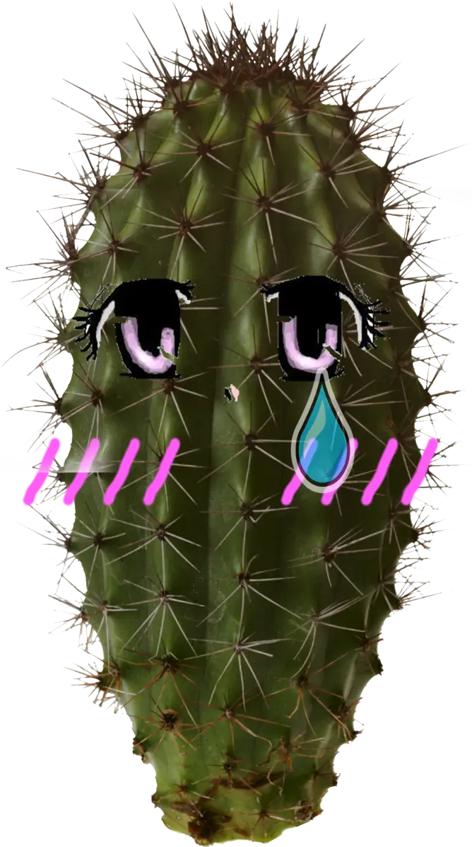 Cactus with Anime Face