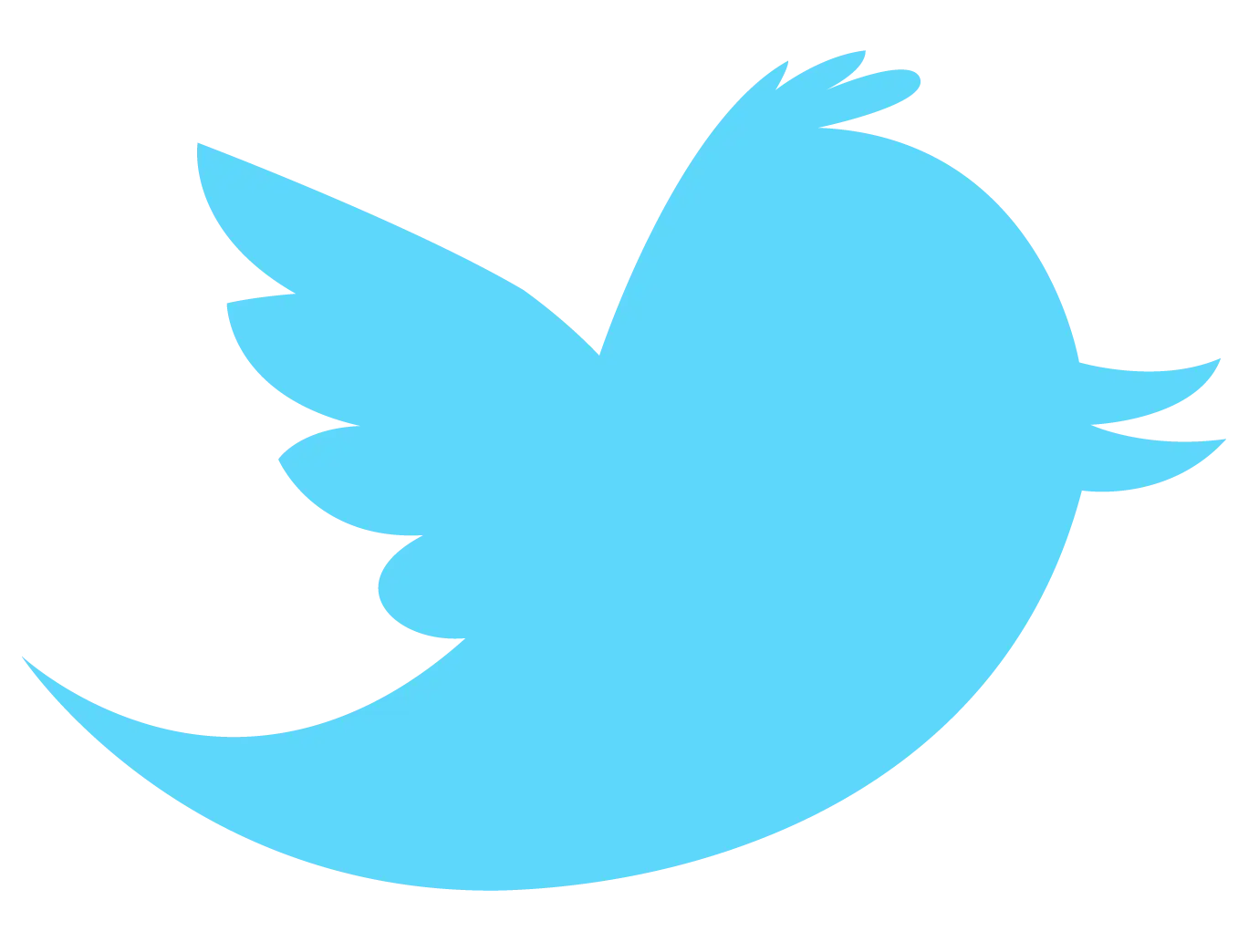 Blue Bird Silhouette Logo Icon