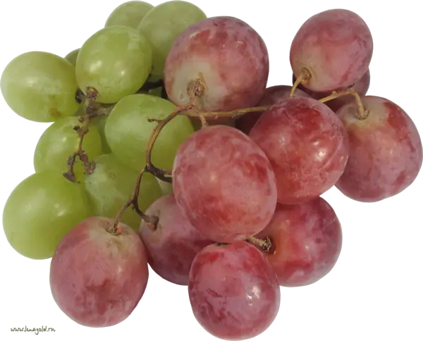Green and red grape bunches for fresh snacks