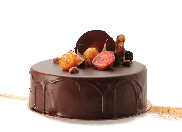 Chocolate Drip Cake with Fruits