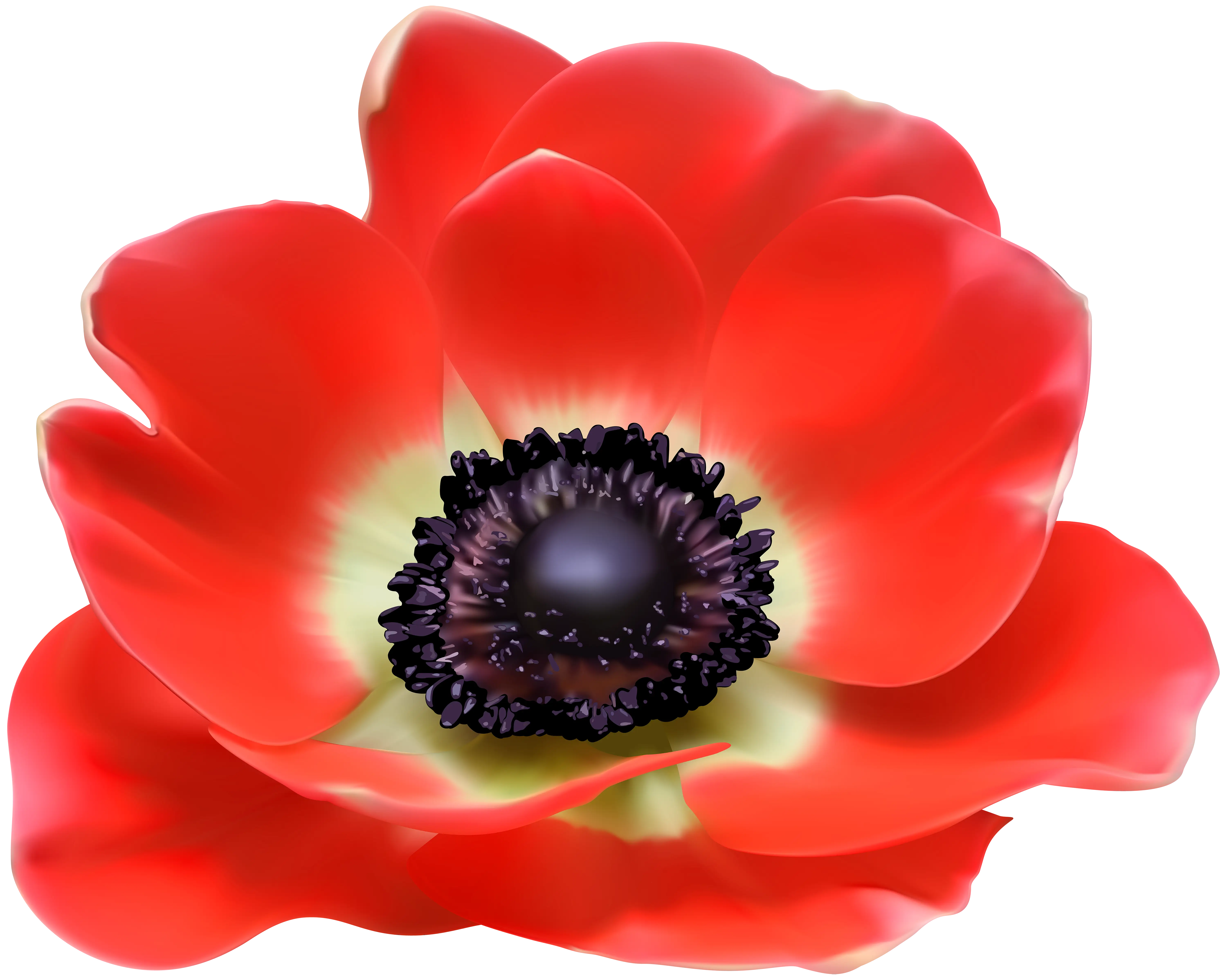 Beautiful Red Flower with Textured Petals