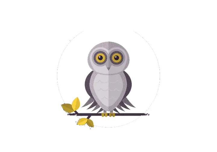 Gray Owl on Branch with Leaves