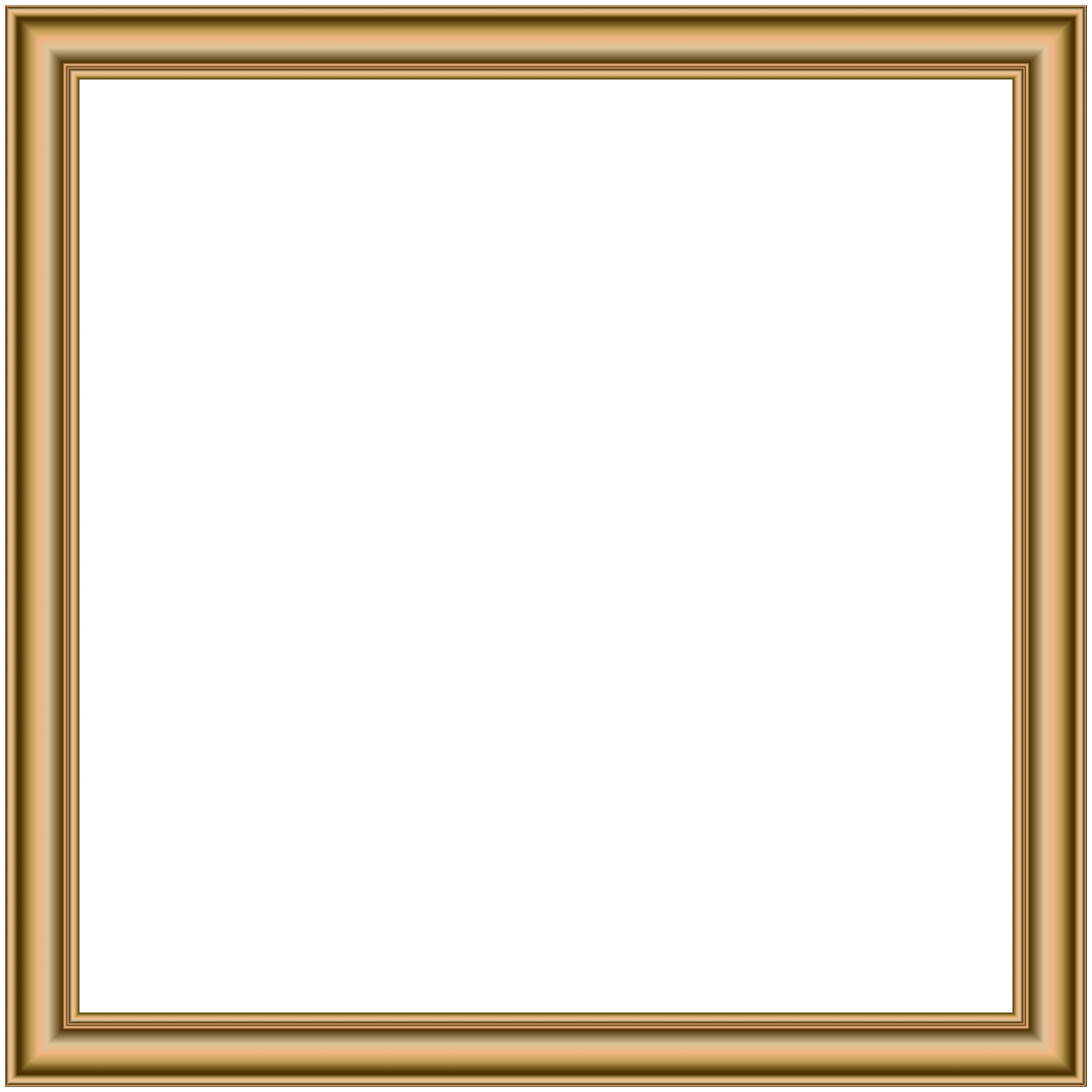 Elegant Golden Picture Frame