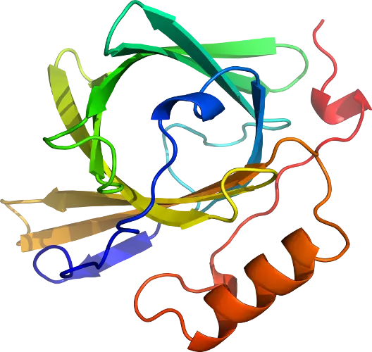 Colorful Protein Structure 3D Illustration
