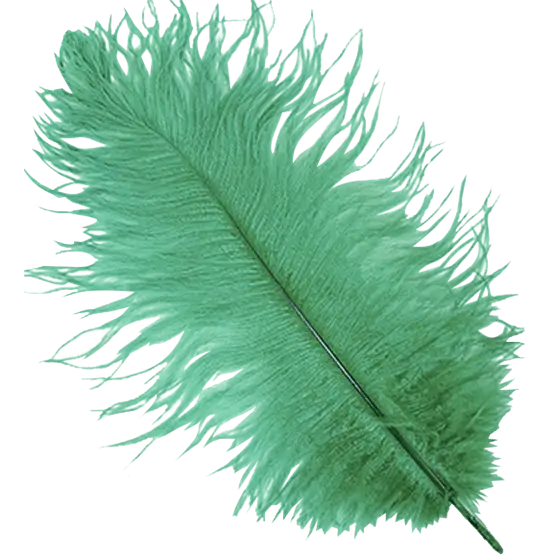 Green Feather with Soft Texture