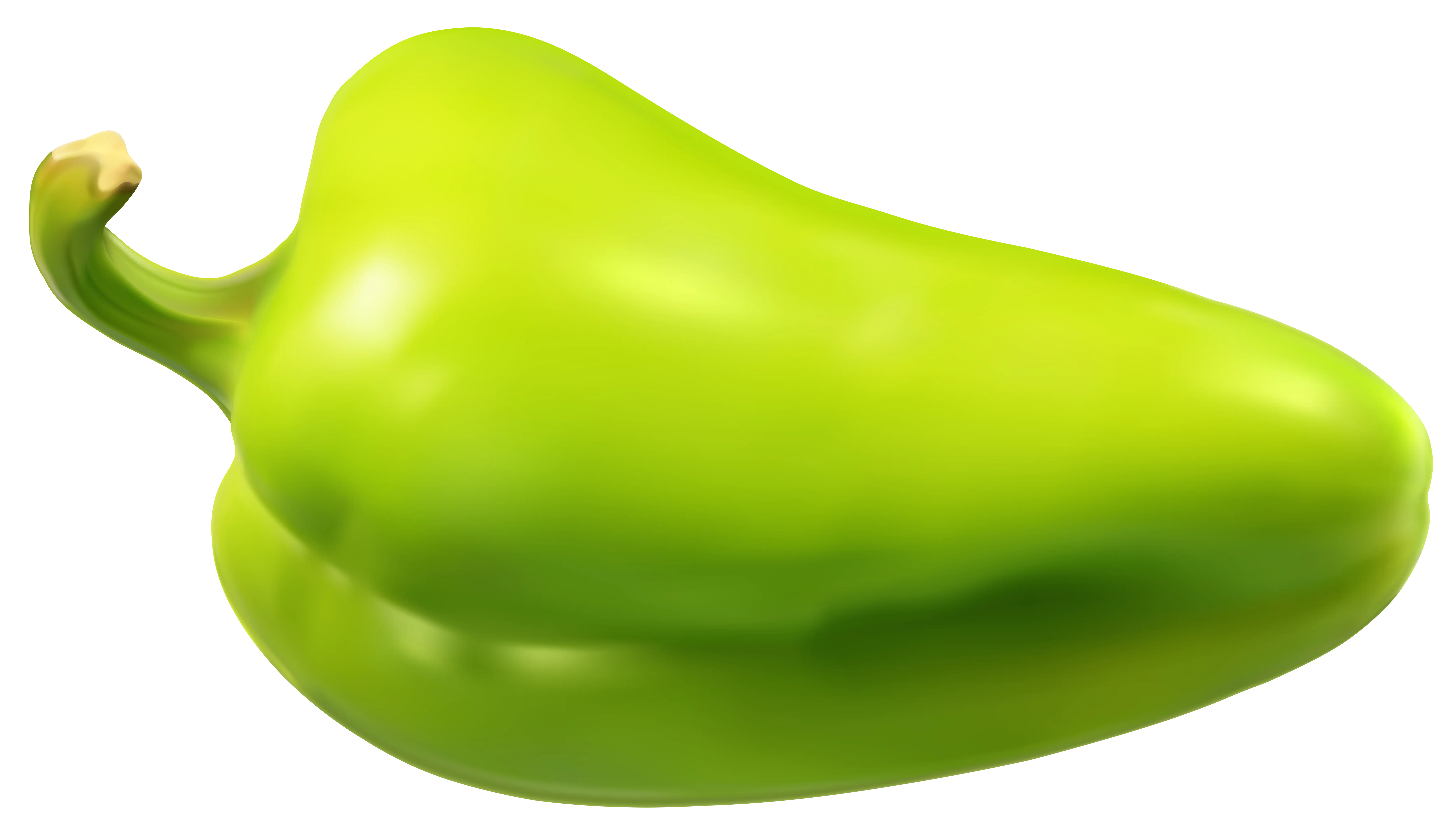 Green Bell Pepper Illustration