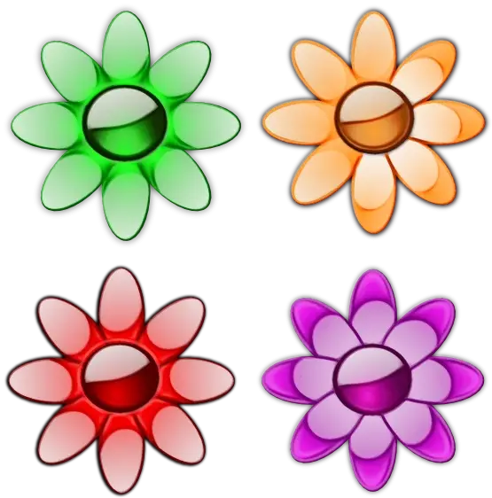 Colorful Flowers with Petals