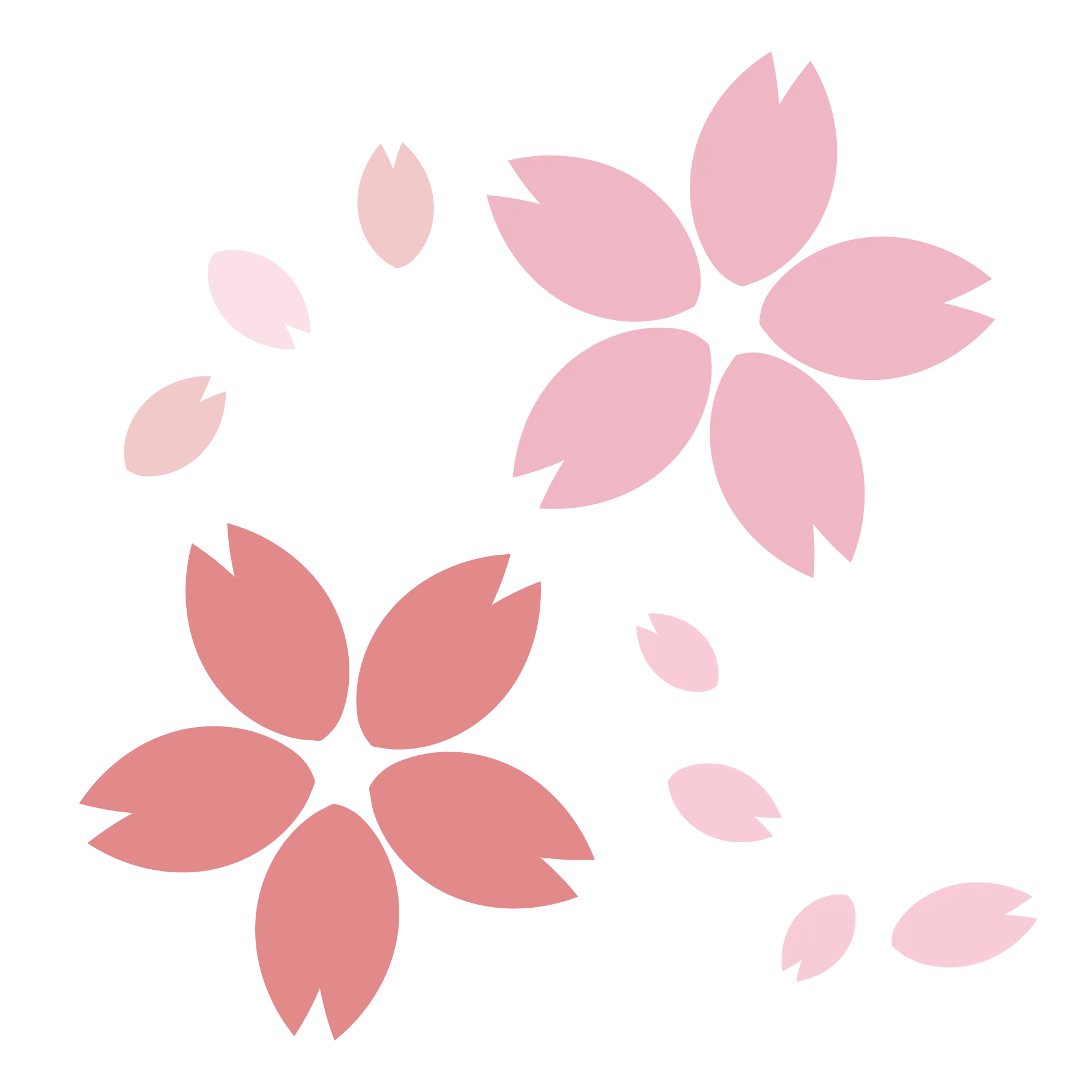 Beautiful Pink Cherry Blossom Design