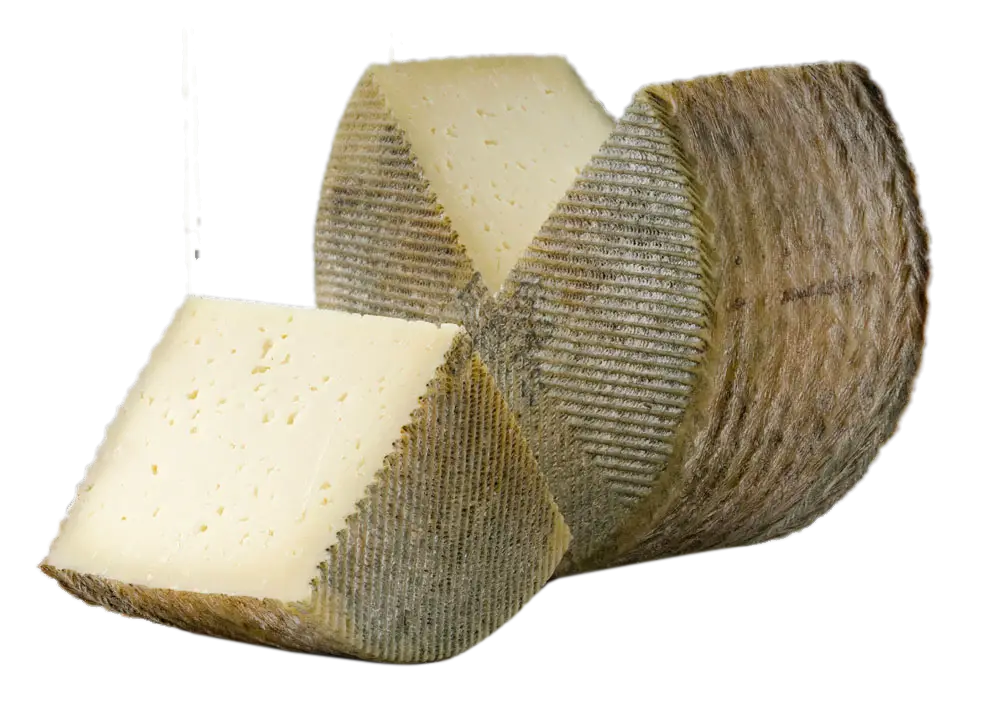 Sliced Cheese Wedge with Textured Rind