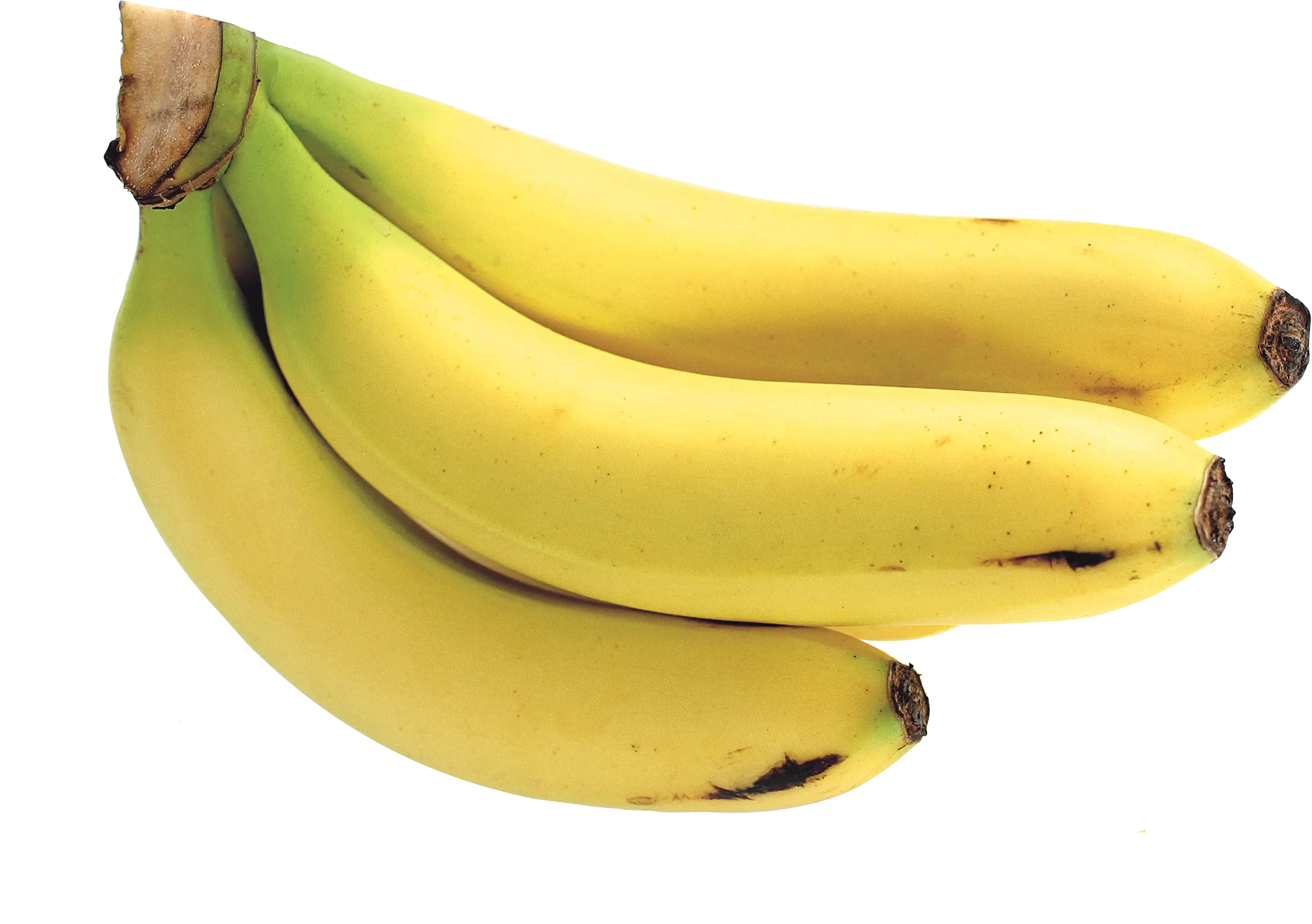 Yellow Bananas Bunch