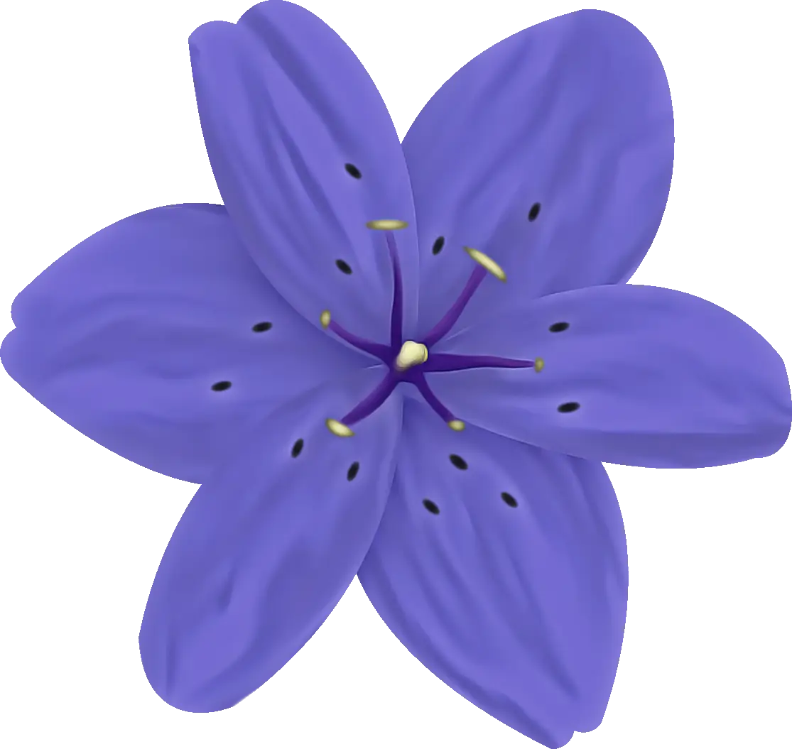 Purple Decorative Flower Illustration