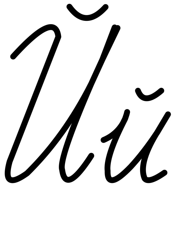 Elegant Script Cursive Text