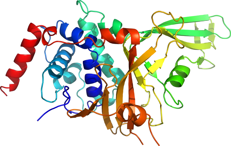 Colorful Ribbon Diagram of Protein