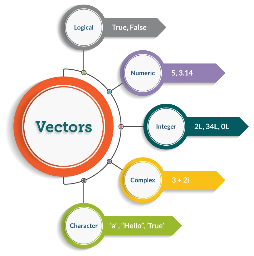 Types of Vectors Diagram