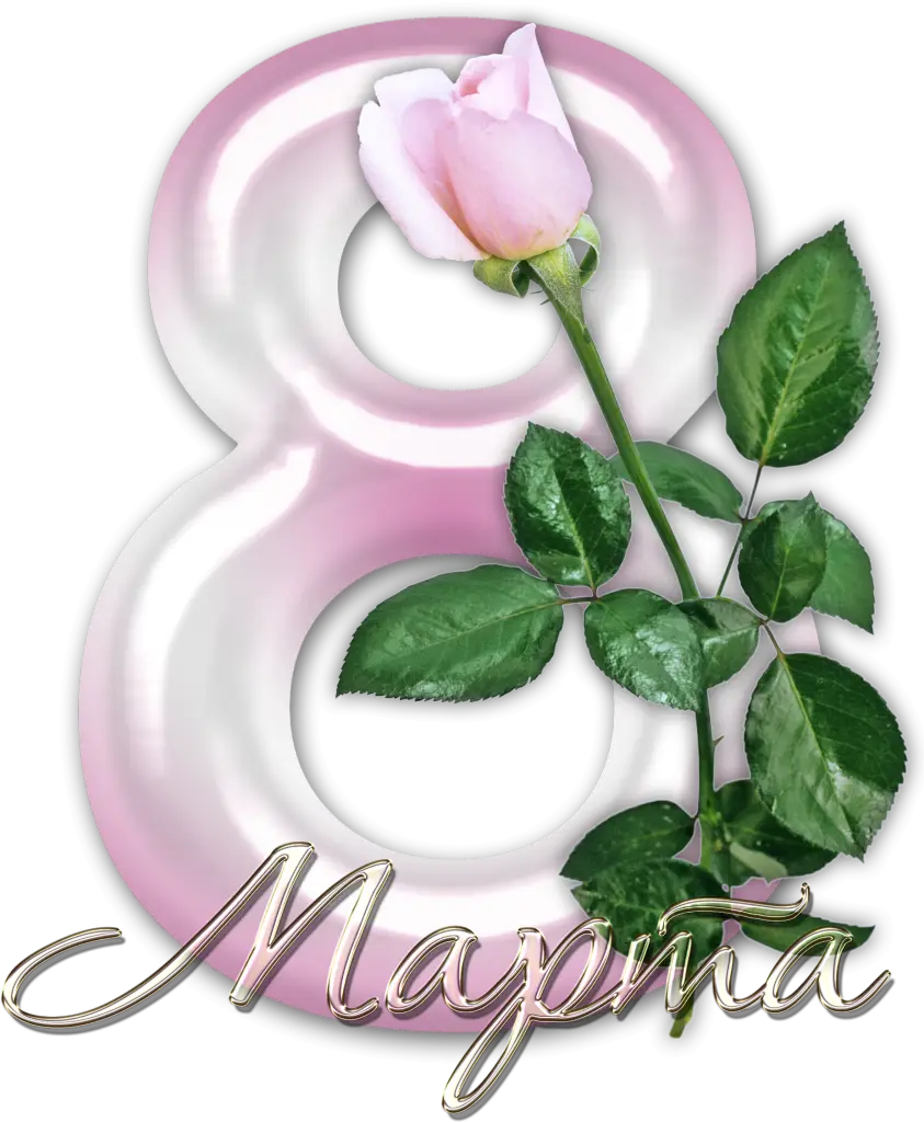 March 8 with Pink Rose
