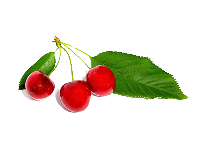 Red Cherries with Leaves