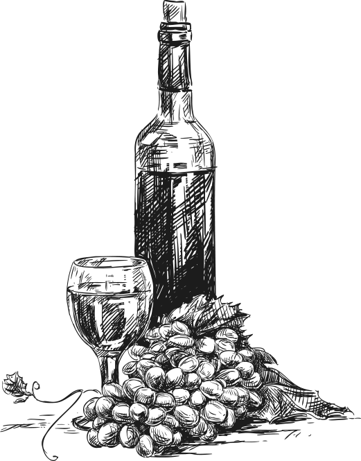 Wine and Grapes Sketch in Artistic Style
