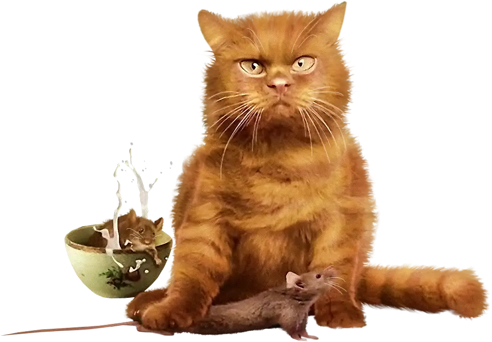 Cat with Mouse in Domestic Setting