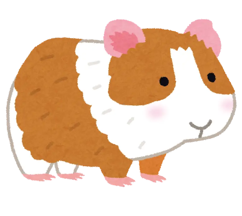Cute Guinea Pig Illustration