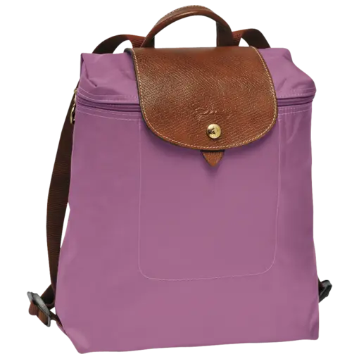 Stylish Purple Backpack with Leather Strap