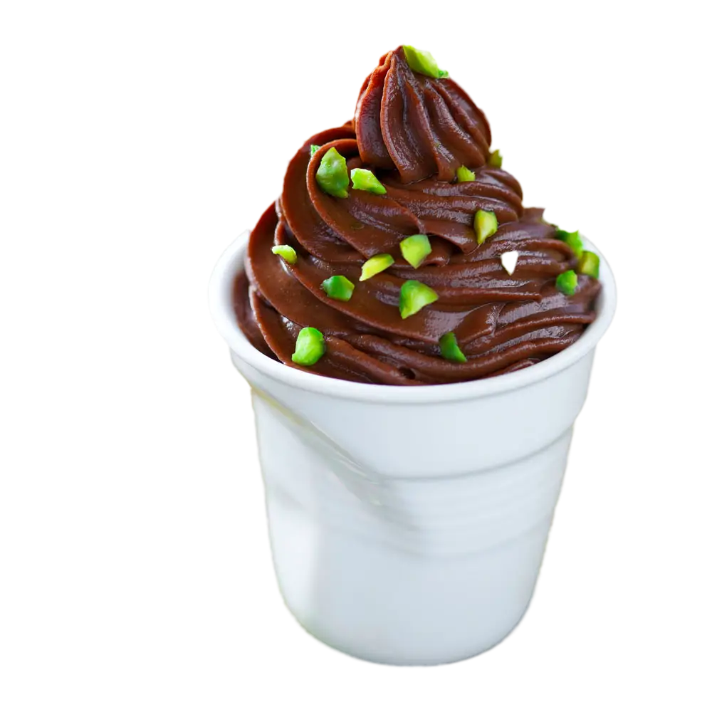 Chocolate Ice Cream with Pistachio Toppings
