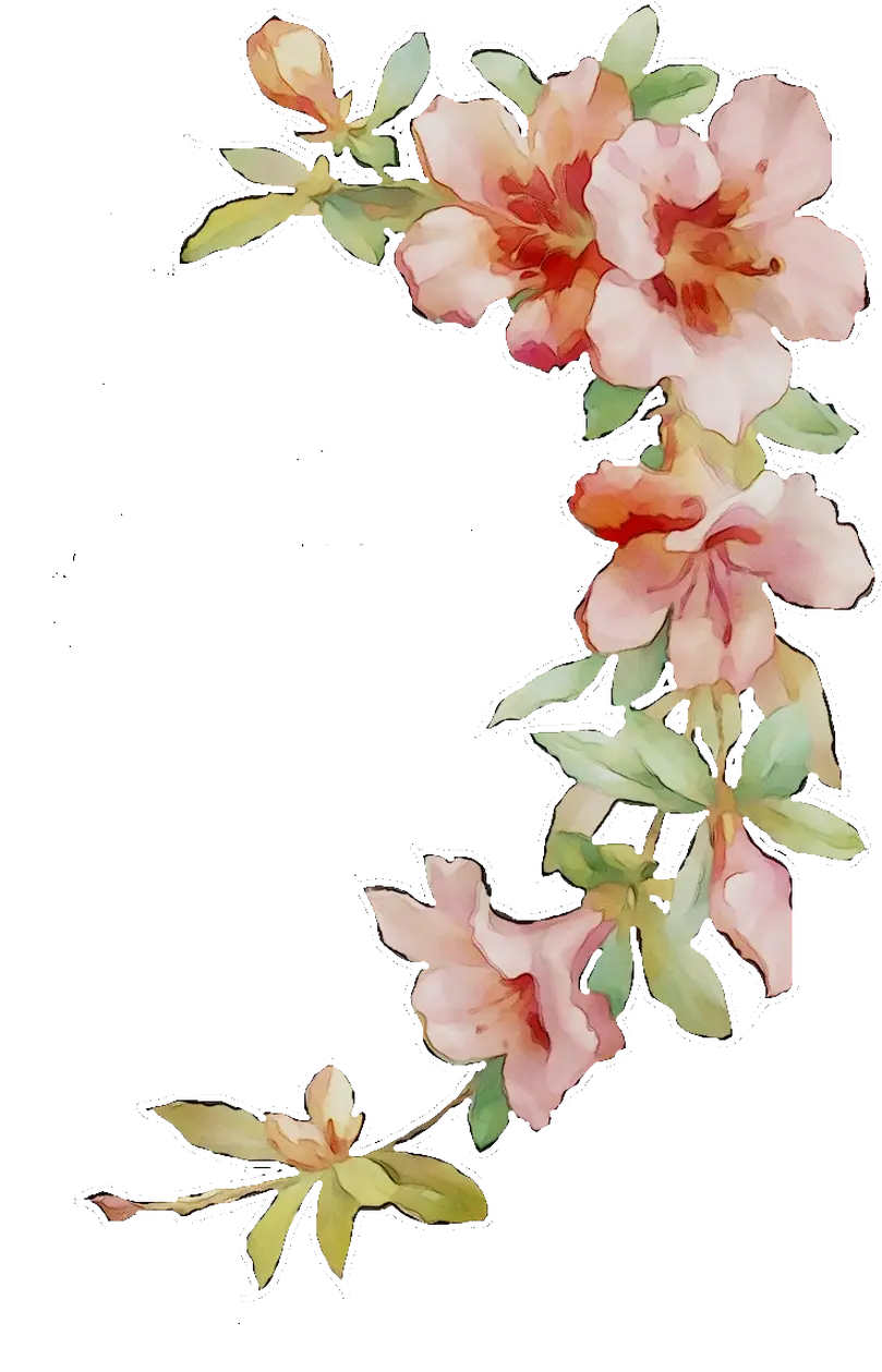 Pink Floral Watercolor Art