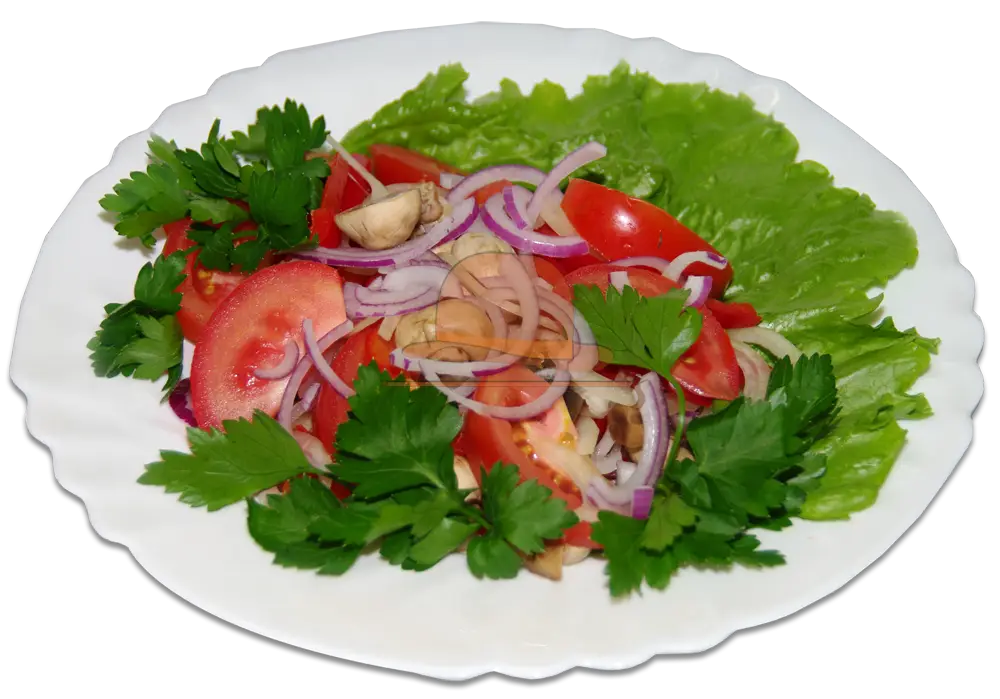 Healthy Vegetable Salad Dish