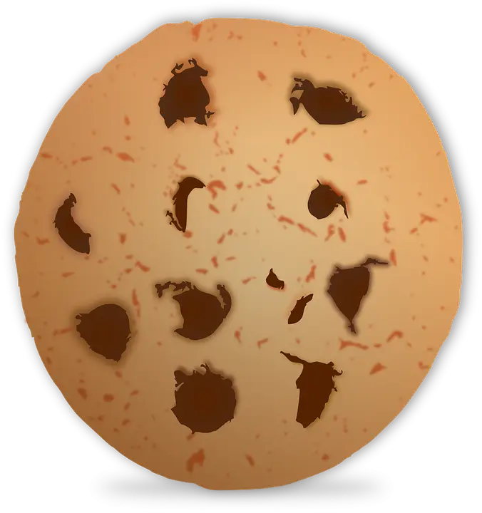 Classic Chocolate Chip Cookie Close-Up