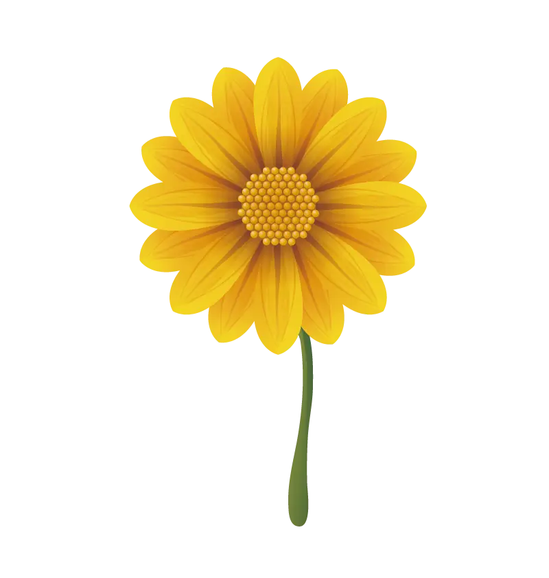 Yellow Flower with Green Stem