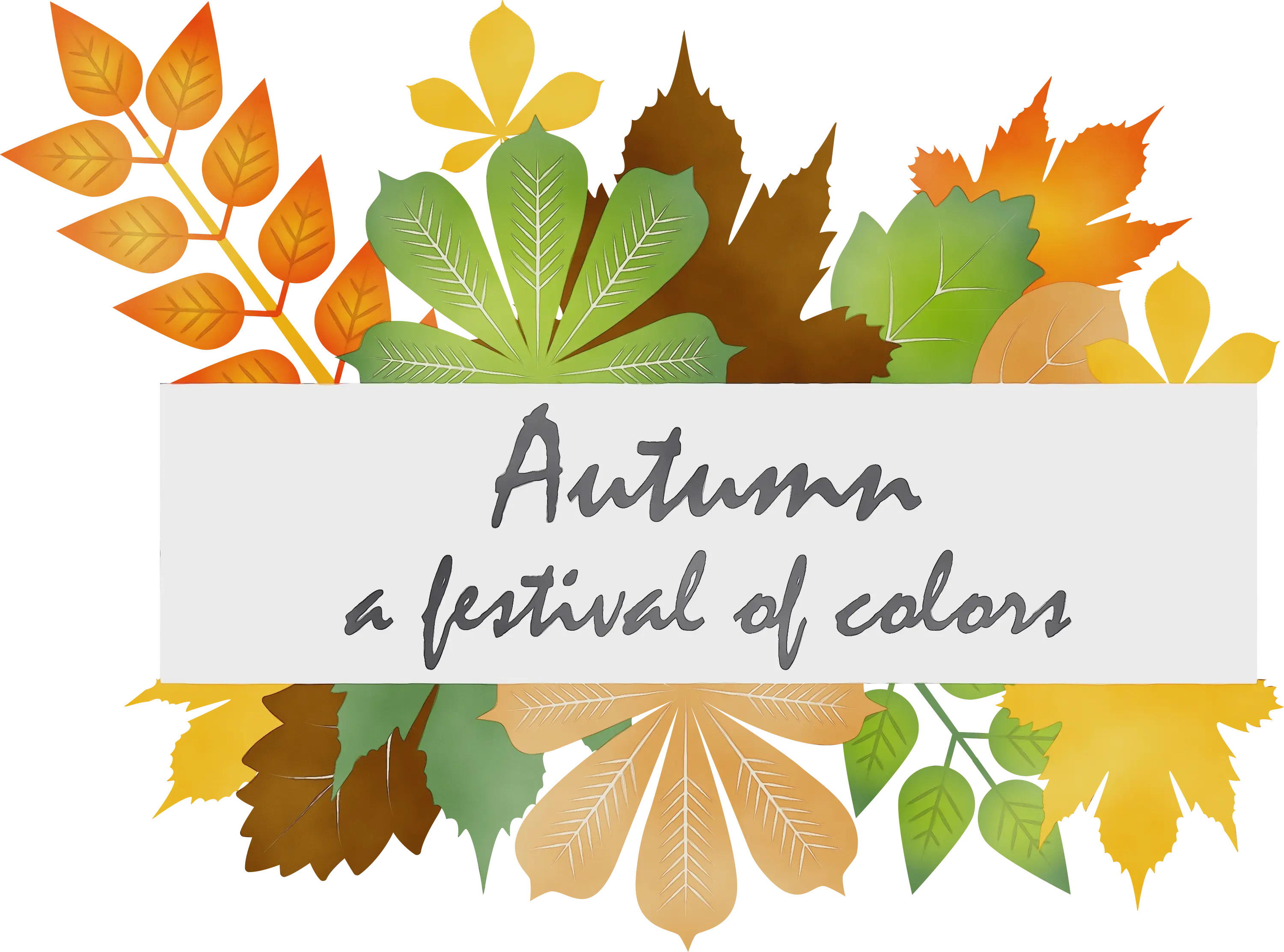 Autumn Festival of Colors Design