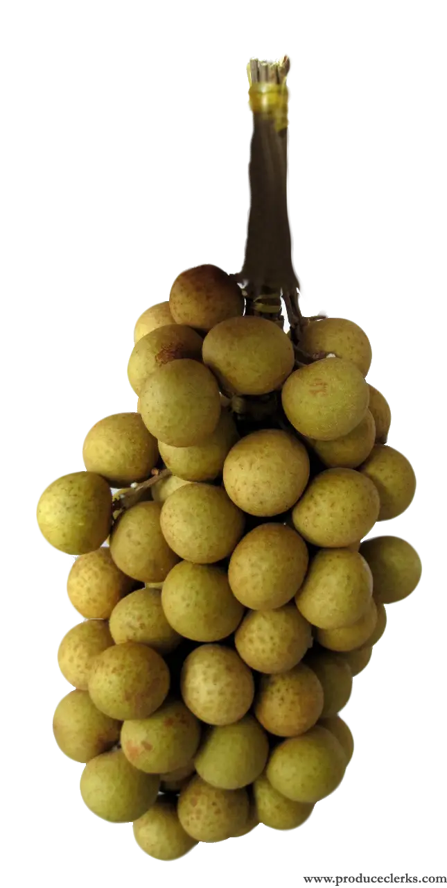 Cluster of Fresh Longan Fruits