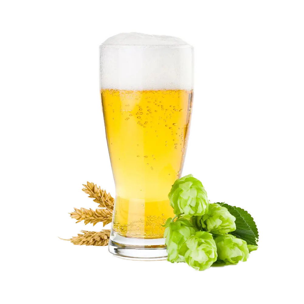 Beer Glass with Hops and Barley