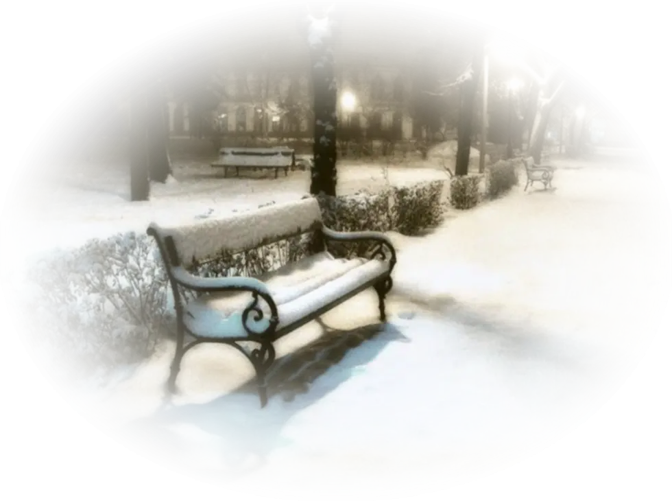 Snow Covered Bench in Park