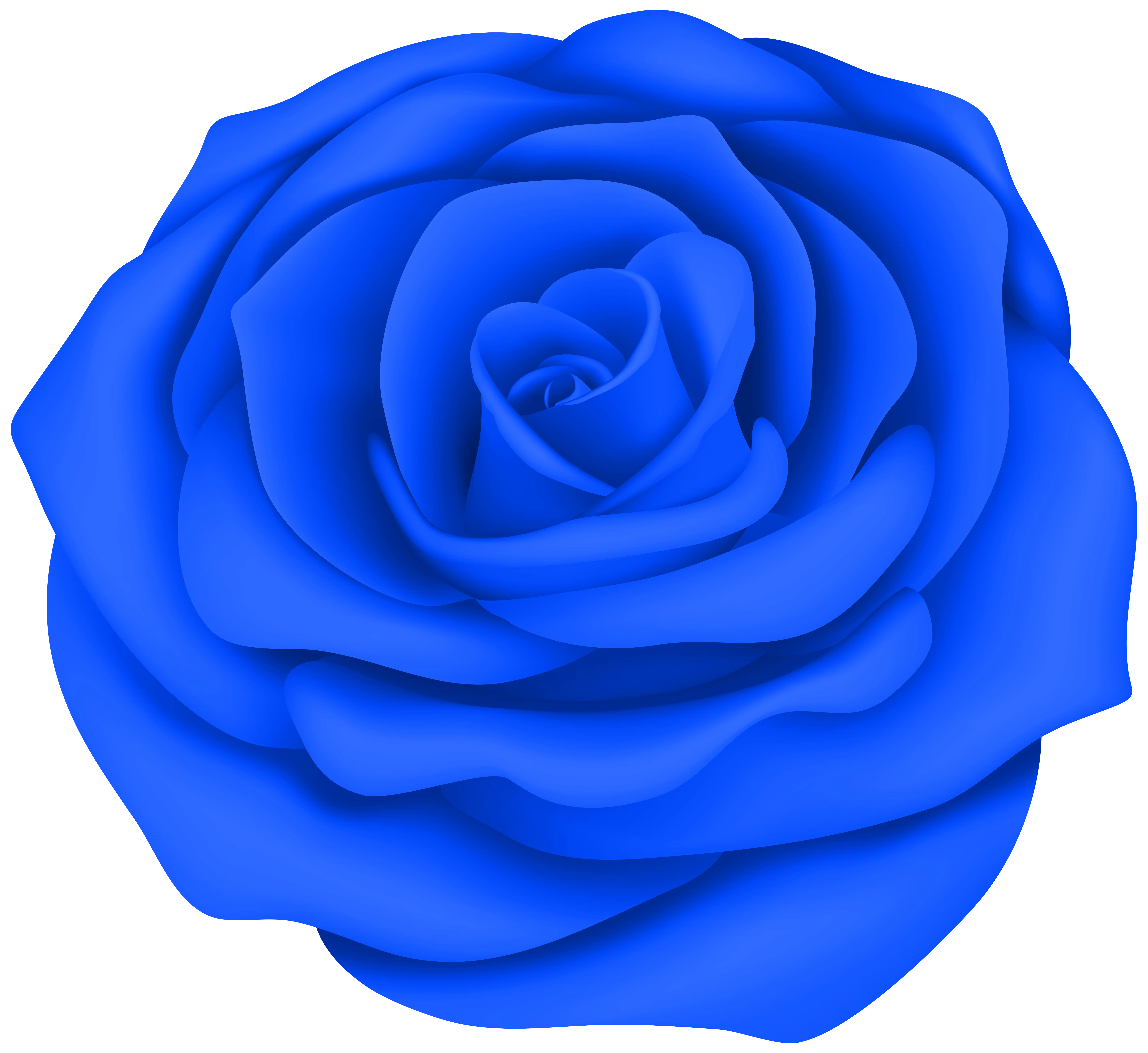 Elegant Blue Rose Flower Illustration